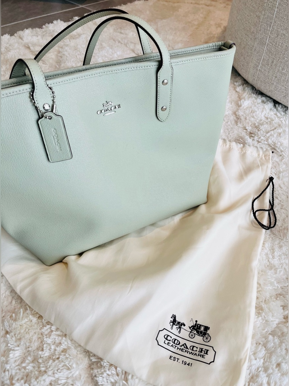 Coach City Zip Tote F58846 Pale Green
Leather Large Tote Bag